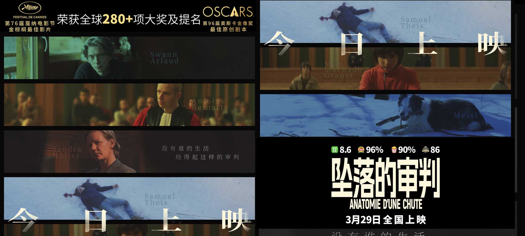 电影《坠落的审判》今日上映 影后桑德拉·惠勒全中文问好尽显诚