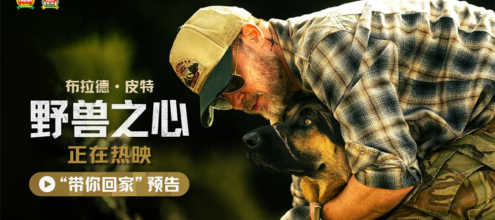 布拉德·皮特新片《野兽之心》今日上映 人犬情深奋力寻找回家之